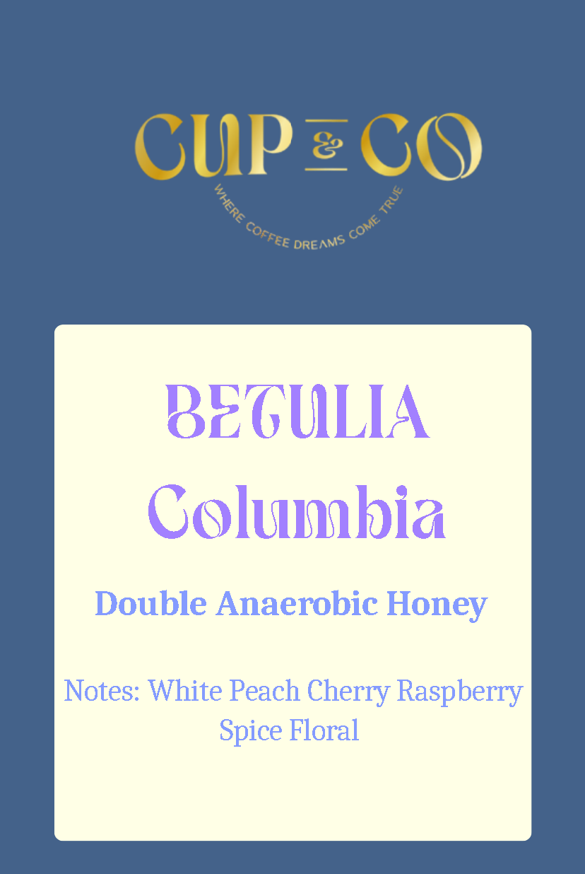 Betulia | Columbia