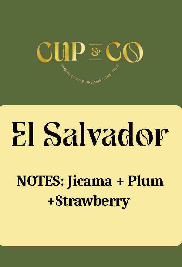 Pacamara Honey | El Salvador