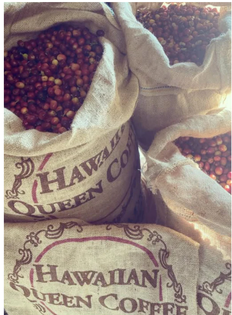 [Coming Soon] Kona | USA