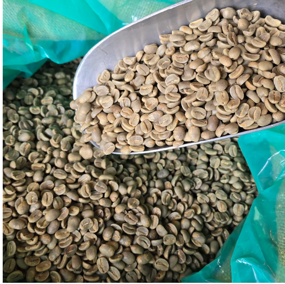 [Coming Soon] Kona | USA