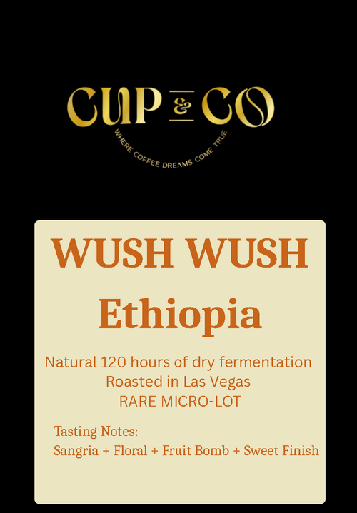 WUSH WUSH | ETHIOPIA