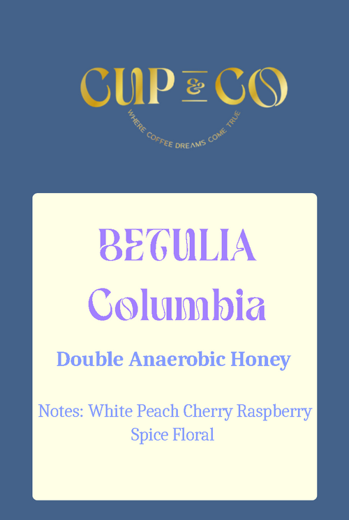Betulia | Columbia